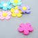 Decor for creativity Rubber "Color Chamomile" set 10 pcs mix 4.4x4.4 cm