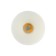 Tundra set, for water paints, foam roller 100 mm, bath 150 x 300 mm