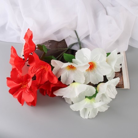 Bouquet "Adenium Extra Galant" D-14 cm 30 cm, mix-6