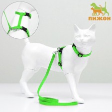 Kit for cats, width 1 cm, Osh 16.5-27 cm, fire 21-35 cm, leash 120 cm, green