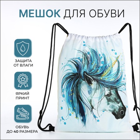 Bag for shoes on the lace, white color