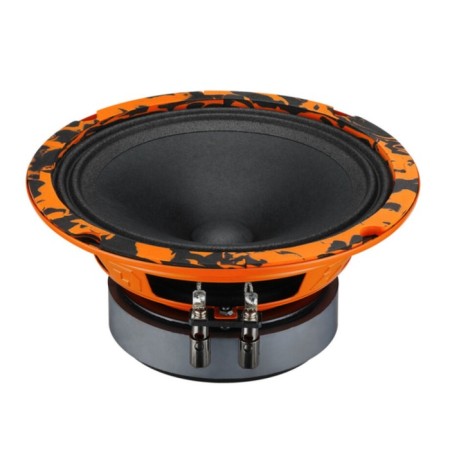 Acoustics-CC DL Audio Gryphon Pro 165