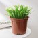 Flower pot “Classic C”, 1.5 l, d = 15, the color of the terracott