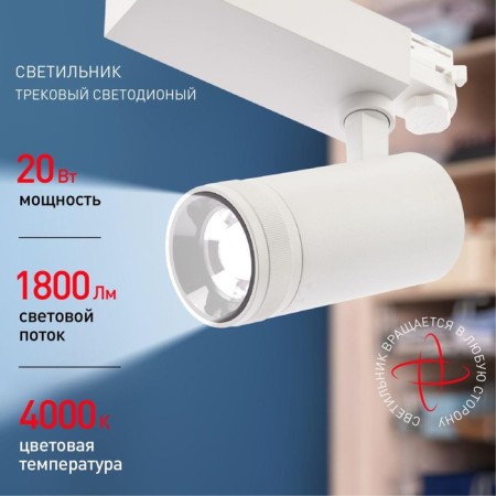 Track lamp three -phase adjustable beam 4000k white-5