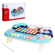 Developing toy 