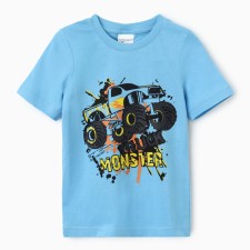 T-shirt for the boy 