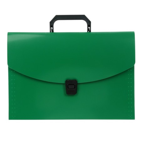 A4 Calligrata Folder Portfire, 13 departments, 700 μm, up to 300 sheets, green-1