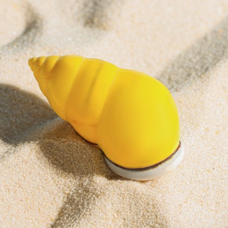 Decorative shell, 4-5 cm-1