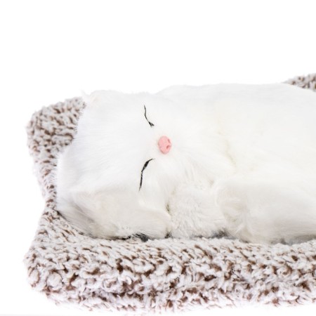 Toy on a car panel, a cat on a pillow, white color-1