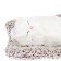 Toy on a car panel, a cat on a pillow, white color
