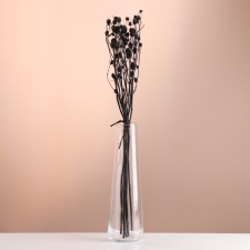 A set of dried flowers 