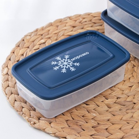 A set of containers for freezing products "Morozko", 3 pcs, 700 ml, color mix-1