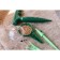 Set, 4 subjects: cone - 2 pcs., Wedak, dive, plastic, Greengo