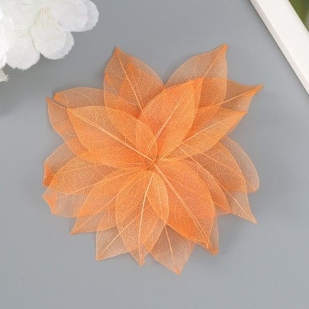 Leaves skeletoned for creativity "orange" set 20 pcs h = 6-6.5 cm-2