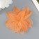 Leaves skeletoned for creativity "orange" set 20 pcs h = 6-6.5 cm