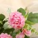Bouquet "Hydrange Galant Lux" 25 cm, mix