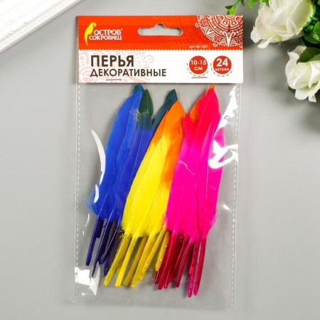Decorative straight feathers, 10-15 cm (set 24 pcs) 6 colors, two-tone, assorted-3