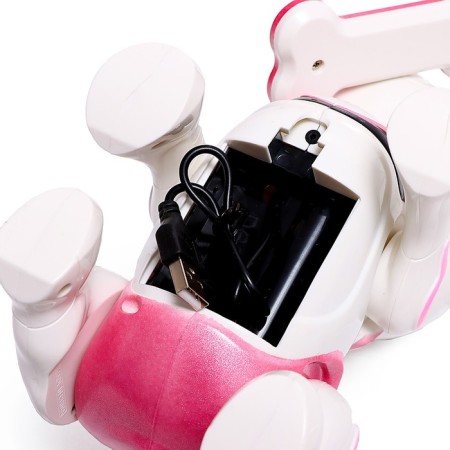 Robot dog “Chappi” IQ Bot, interactive: touch, light, sound, musical, dancing, on the battery, in Russian, pink-6