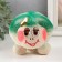 Growing gift Eco -Zhizhivchik "Turtle" in gift package mix
