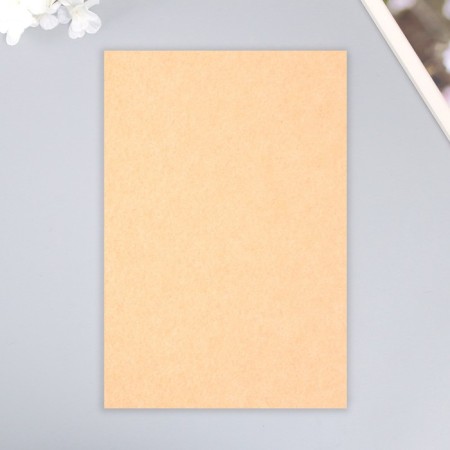 A set of hard felt "Astra" (3 pcs) bodily, 1 mm, 160 gr, 20x30 cm