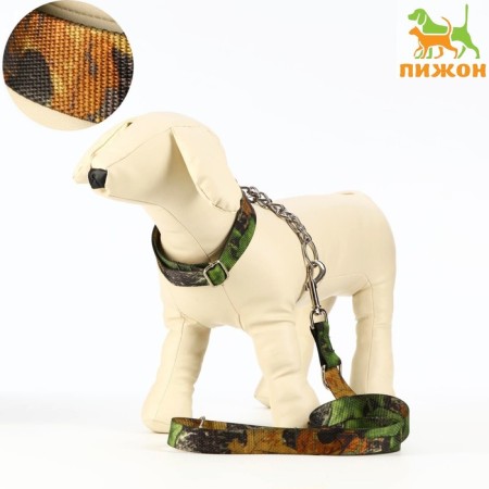 Kit "Masks", leash 130 x 2.5 cm, collar-tuture 40-54 x 2.5 cm, brown