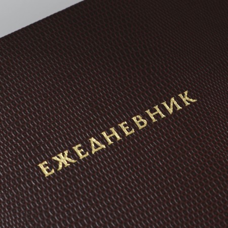 Deliciper of Leduced A5, 160 liters. Solid cover. Leatherette. Cream block. "Crocodile"-9