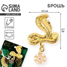 Brooch New Year's 