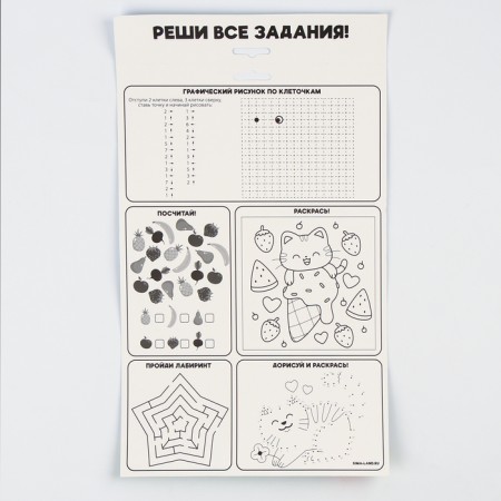 Set for creativity. Bouquet of felt "chamomile"-4