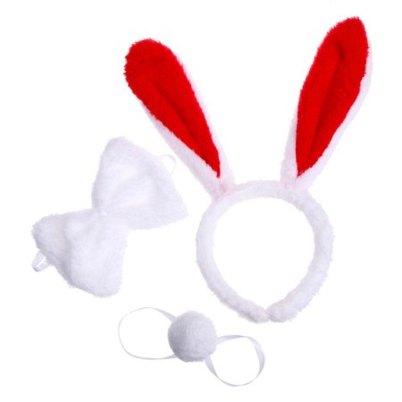 Carnival set "Bunny", 3 objects: rim, butterfly, tail