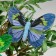 A butterfly for decor and floristry, on a clothespin, plastic, mix, 1 pc., 8 cm