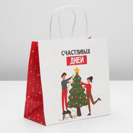 Gift package "Happy Days", 22 x 22 x 11 cm, new year-1