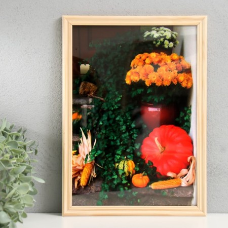 Photo frame 21x30 (3N92) colorless (plastic screen)-1