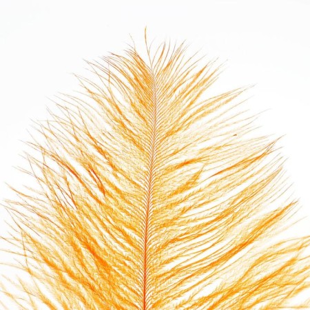 Feather for decor, length: from 45 to 50 cm, peach color-1