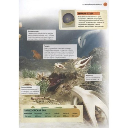 All about dinosaurs. Encyclopedia. Parragon B.-3