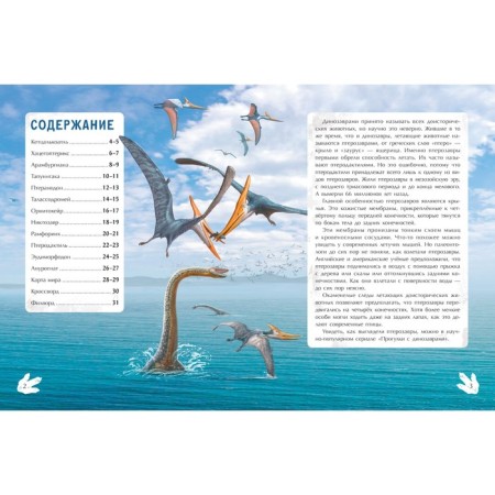 Book with stickers "Flying Predators", Burtseva N.-1