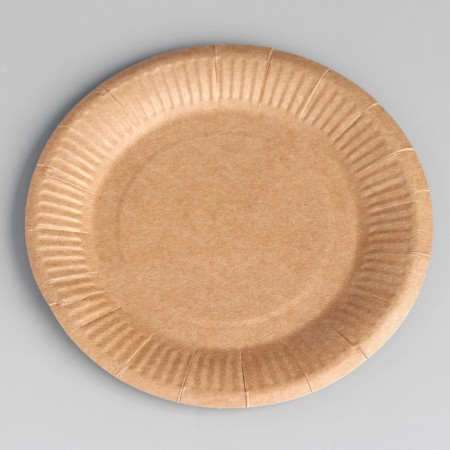 Disposable plate "craft" cardboard, 18 cm-1