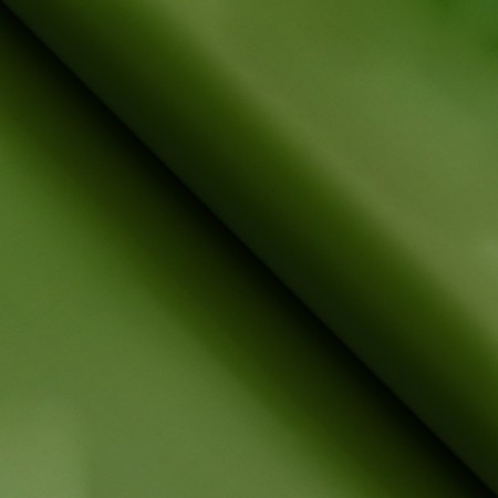 Bilateral film 0.6 x 10 m-2