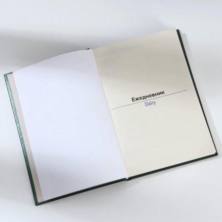 Deliciper of Leduced A5, 160 liters. Solid cover. Leatherette. Green. Cream block-4