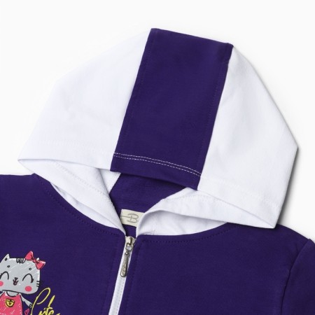 Kit for girls (sweatshirt, trousers), purple color, height 92 cm-2