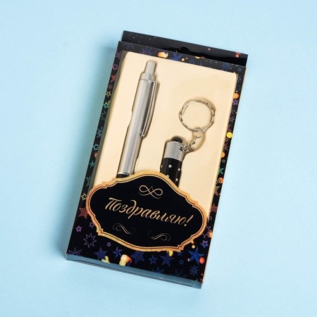 Gift set 2V1 (pen, black flashlight)-1