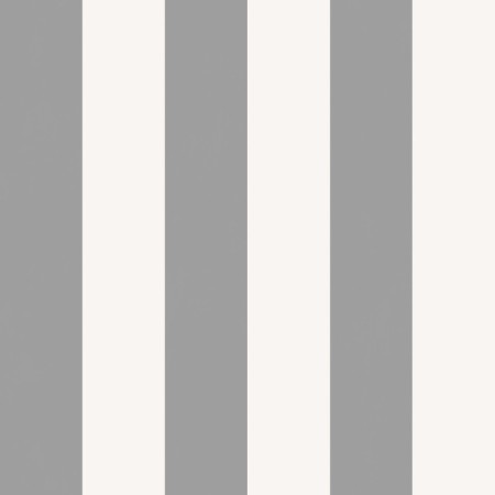 Paper Paper "Gomel mobility" Texas Companion 22, 0.53x10.05m-3