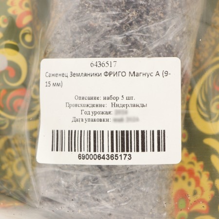 Strawberry seedlings Frigo Magnus A (9-15 mm), 5 pcs-3