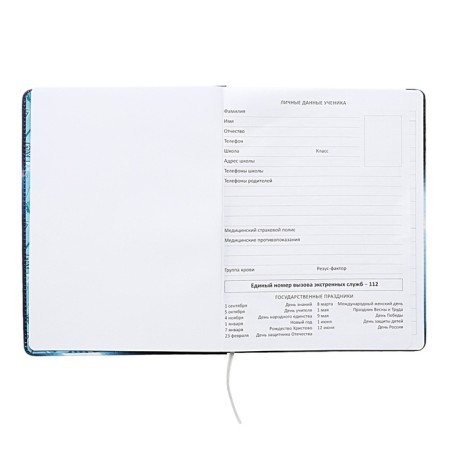Universal diary for grade 1-11 Football Time, solid cover, artificial leather, foam rubber, liesse, 80 g/m2-5