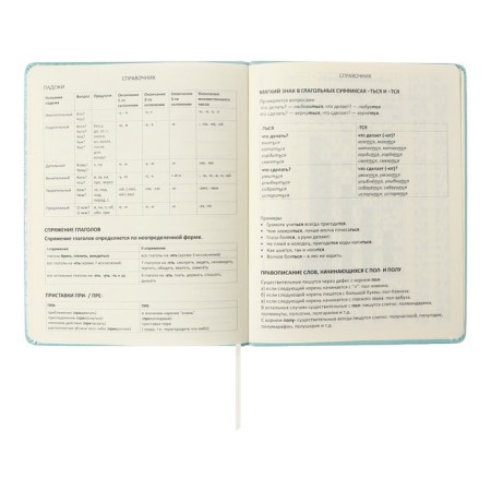 Universal diary for grade 1-11 Leaf, solid cover, artificial leather, foam, embossing foil, liesse, 80 g/m2-9