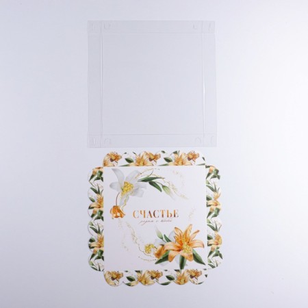 Bearbox, confectionery packaging with PVC lid, "Happiness next to you", 21 x 21 x 3 cm-4
