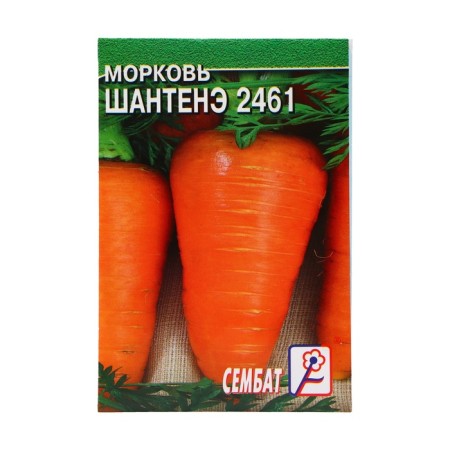 Carrots "Chantene 2461", 2 g