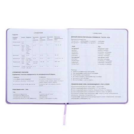 Universal diary for grade 1-11, well, solid cover, artificial leather, silkography, lies, 80 g/m2-9