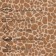 PVC tile Tarkett Lounge Benny DJ, 457 × 457, thickness 3 mm, 2.09 m2