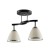 2 lamps