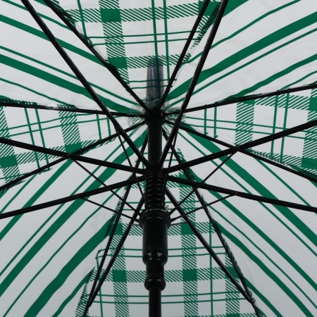 Umbrella - a semiautomatic “cage” cane, 8 spokes, r = 54 cm, the color is transparent/emerald-6